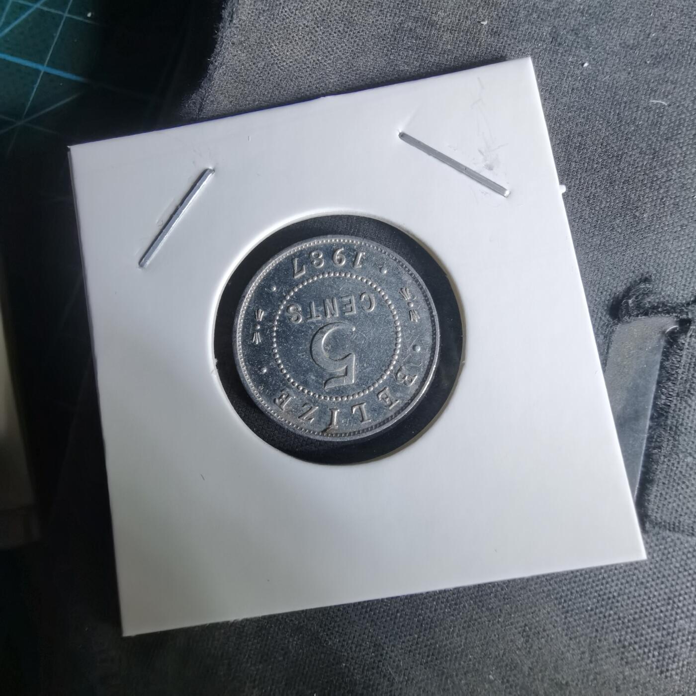 沼泽如烟--第1008场