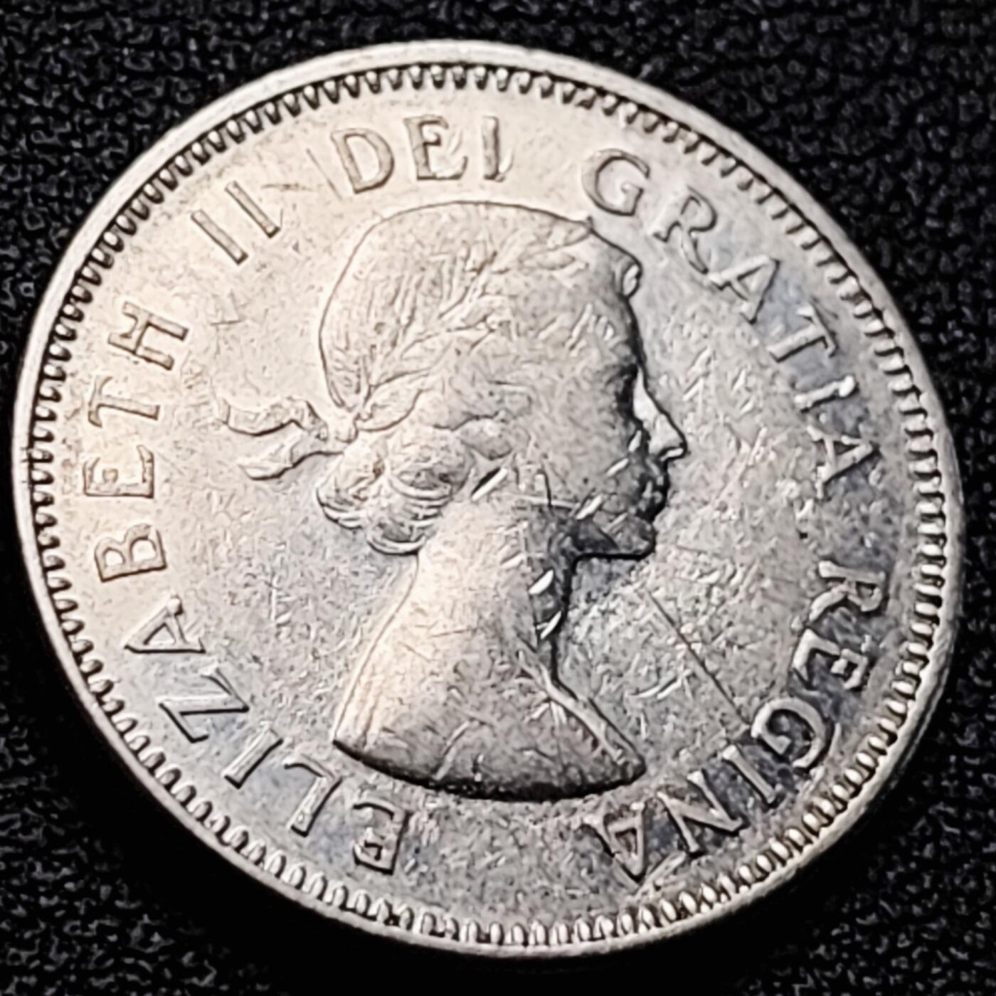 泉币菌-第204场-元宵节专场 本场拍品多 请提前出价