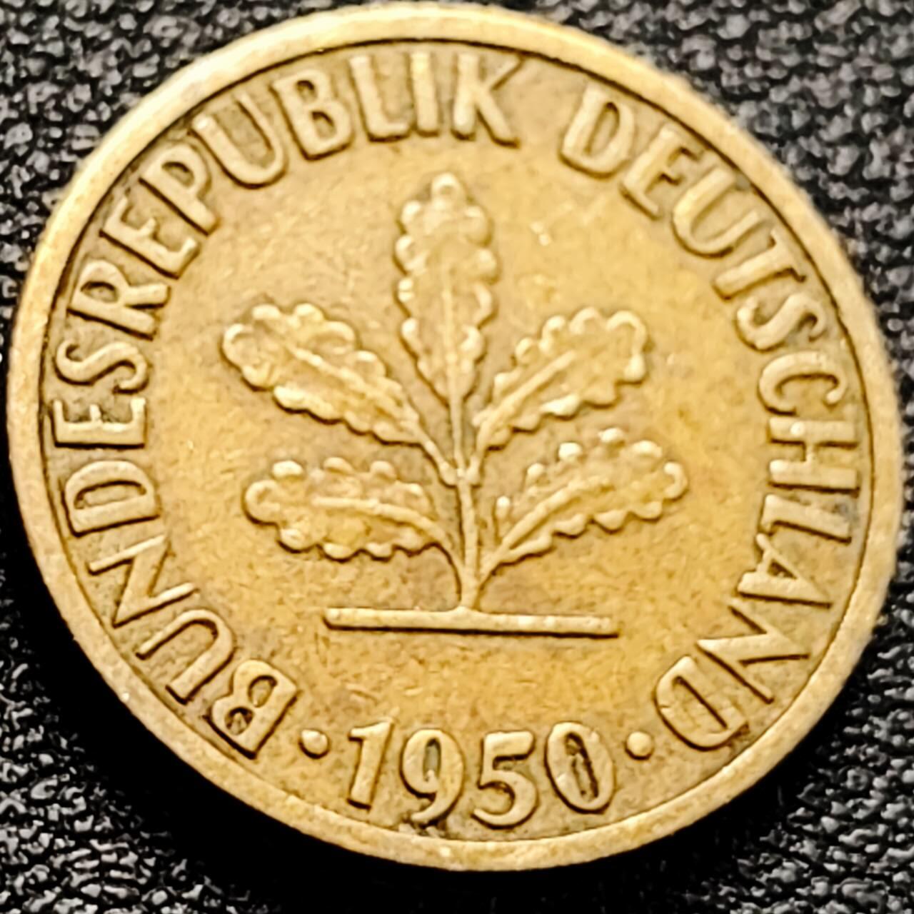 泉币菌-第204场-元宵节专场 本场拍品多 请提前出价