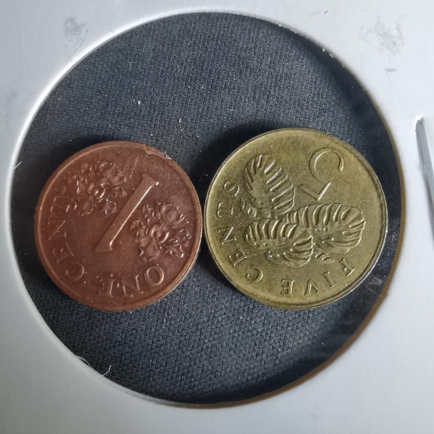 沼泽如烟--第1008场 新加坡两枚