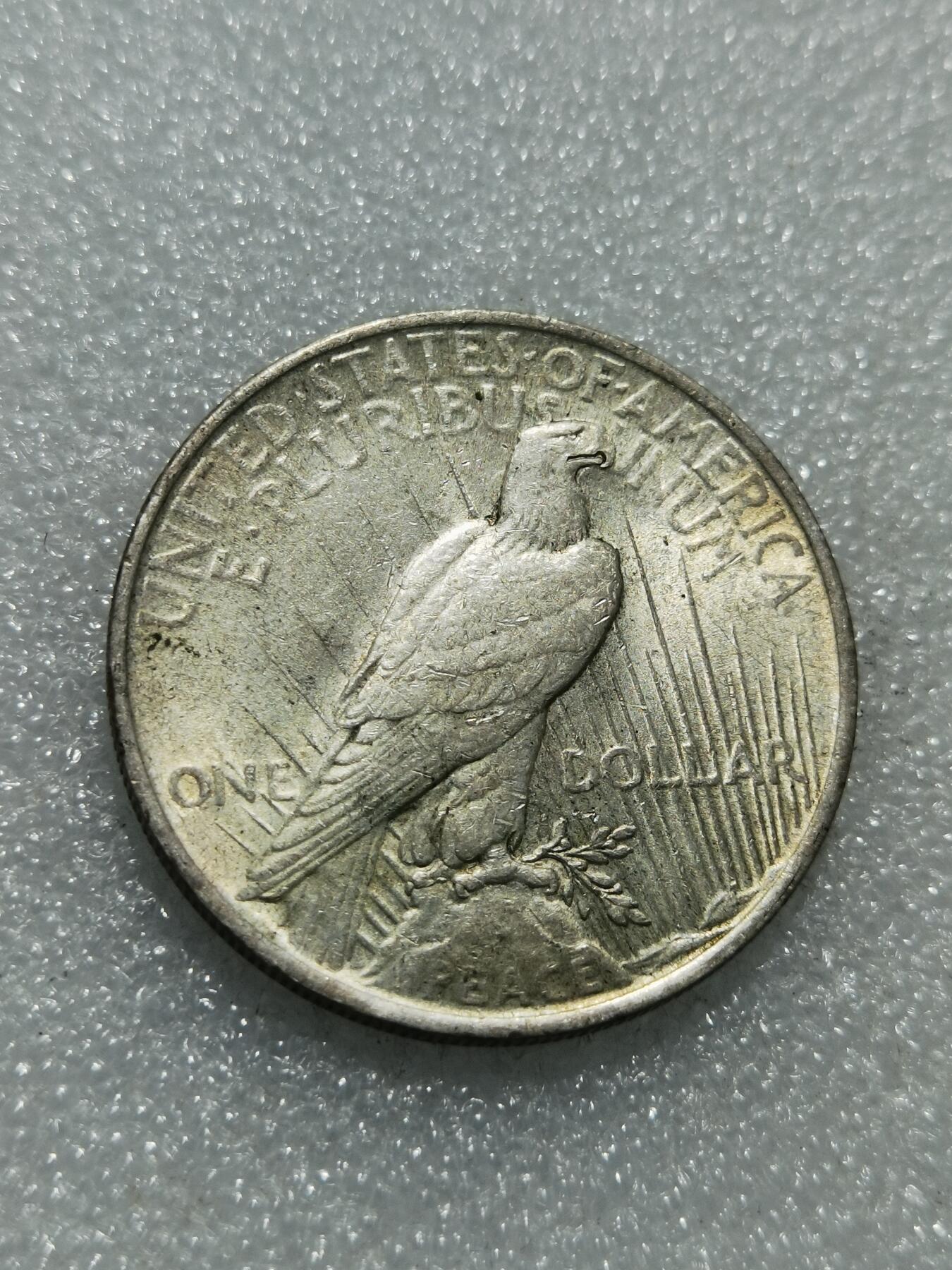 天下钱庄专场欢迎参拍 美国和平鸽一美元银币