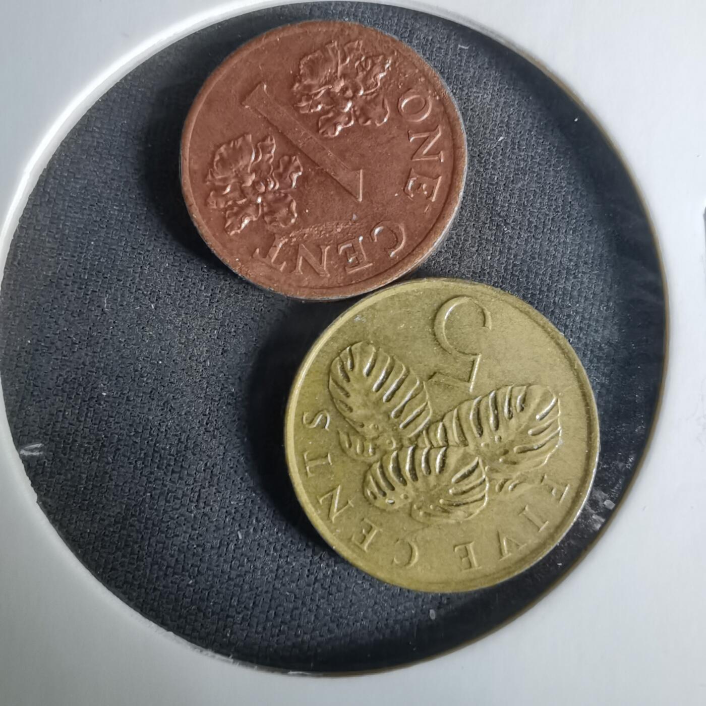 沼泽如烟--第1008场 两枚