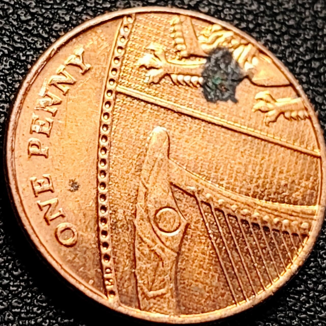 泉币菌-第204场-元宵节专场 本场拍品多 请提前出价