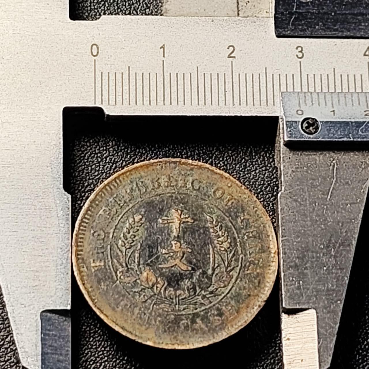 泉币菌-第204场-元宵节专场 本场拍品多 请提前出价