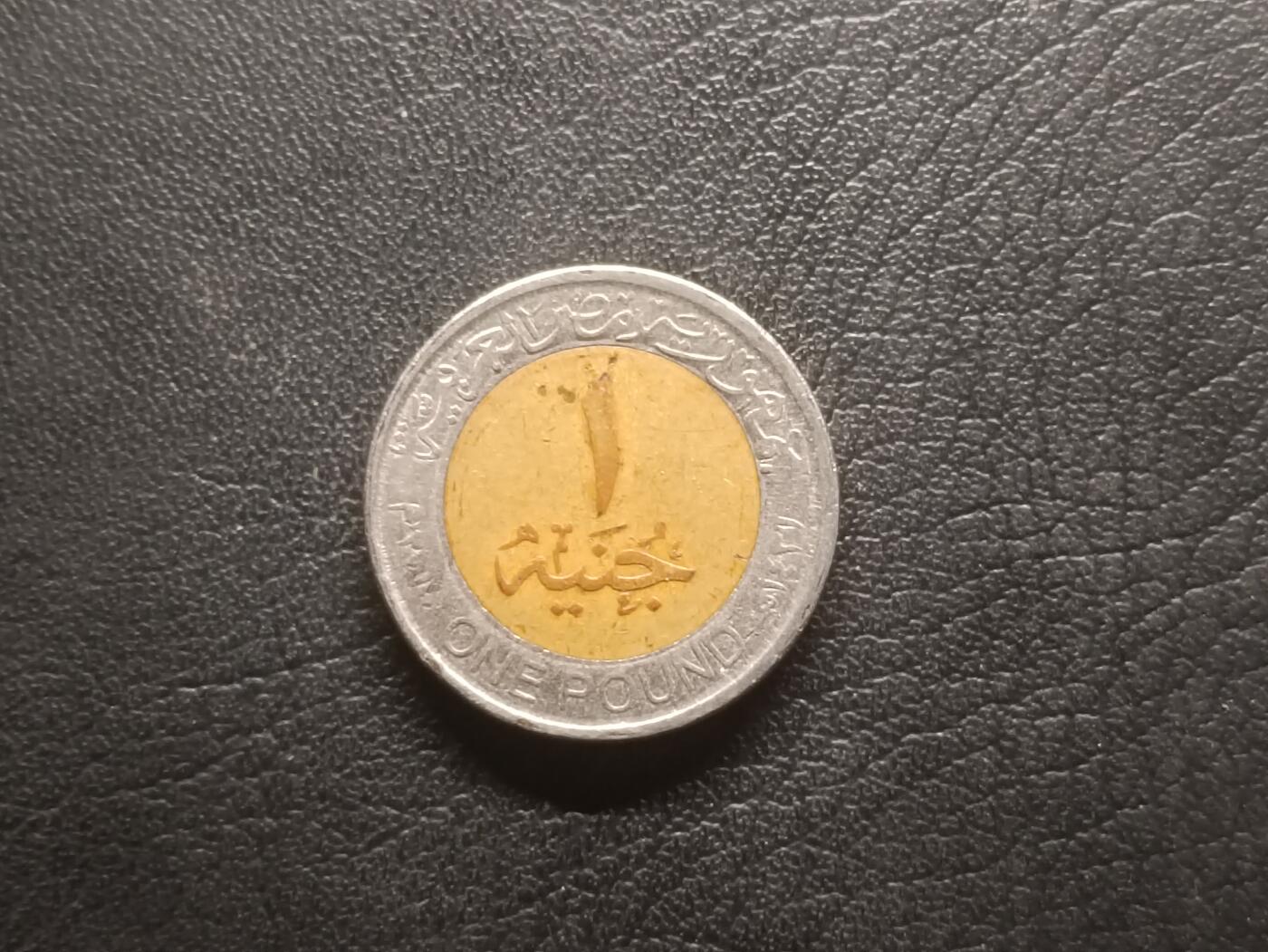 荟藏特别场次第四期——“社长的钢镚堆” 埃及1镑双色币 图坦卡蒙