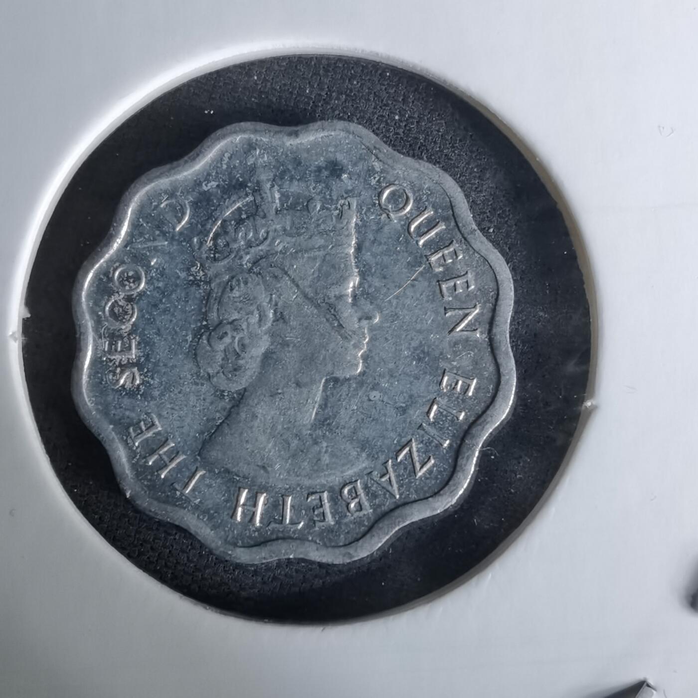 沼泽如烟--第1008场