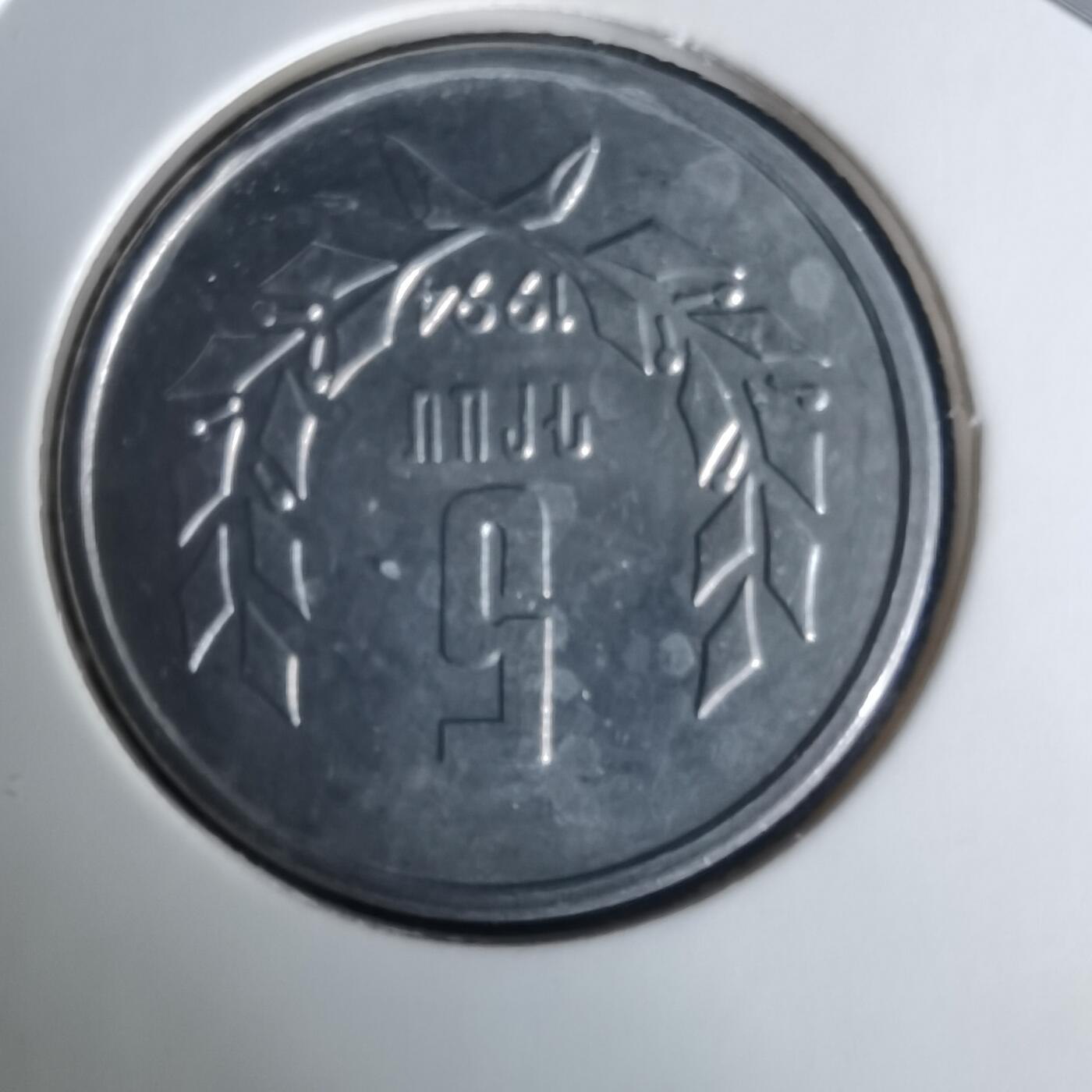 沼泽如烟--第1008场