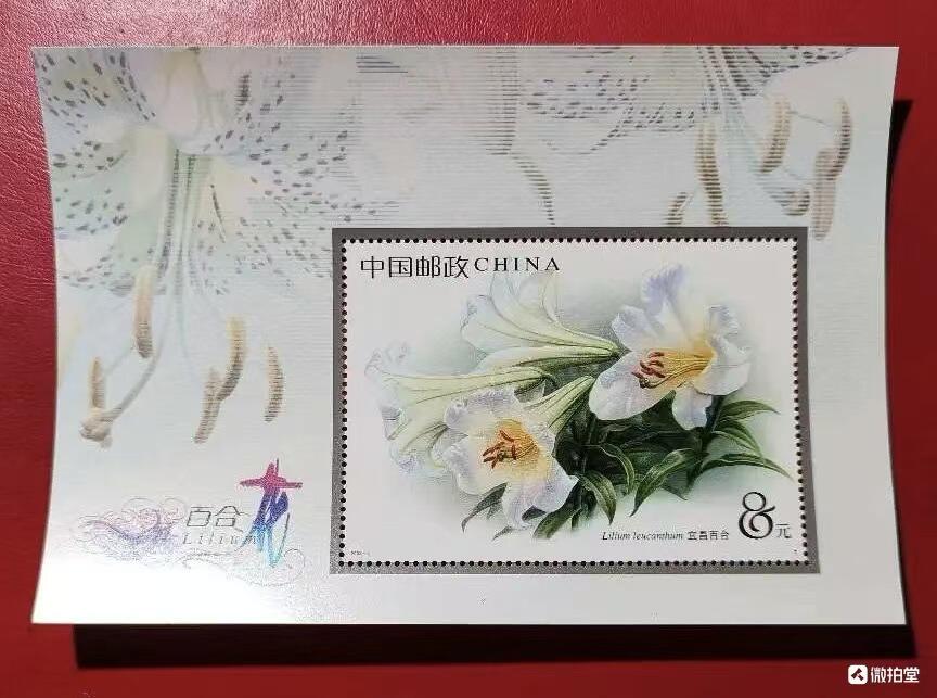 邮票专场第一期