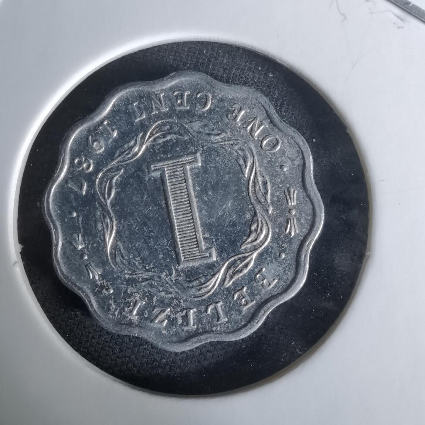 沼泽如烟--第1008场