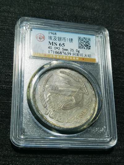 天下钱庄专场欢迎参拍 - 埃及1磅银币