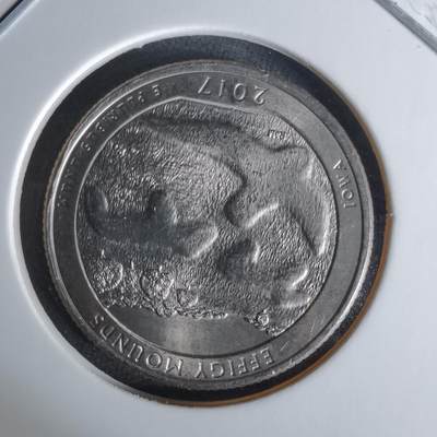 沼泽如烟--第1008场 - 美国2017年25分纪念币