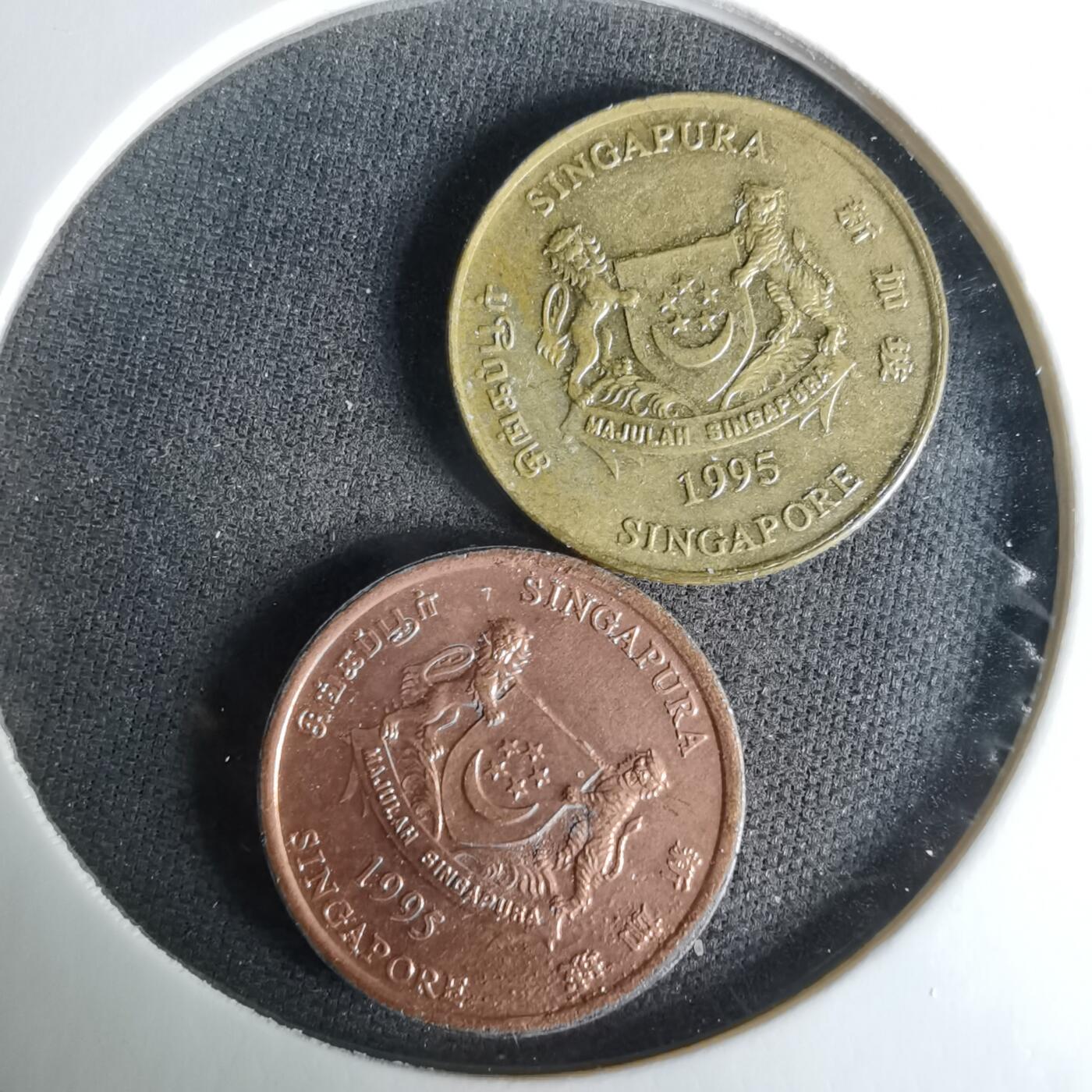 沼泽如烟--第1008场 两枚