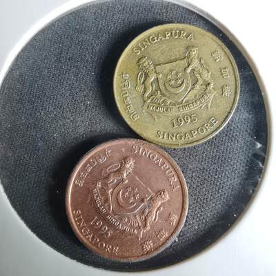 沼泽如烟--第1008场 - 两枚