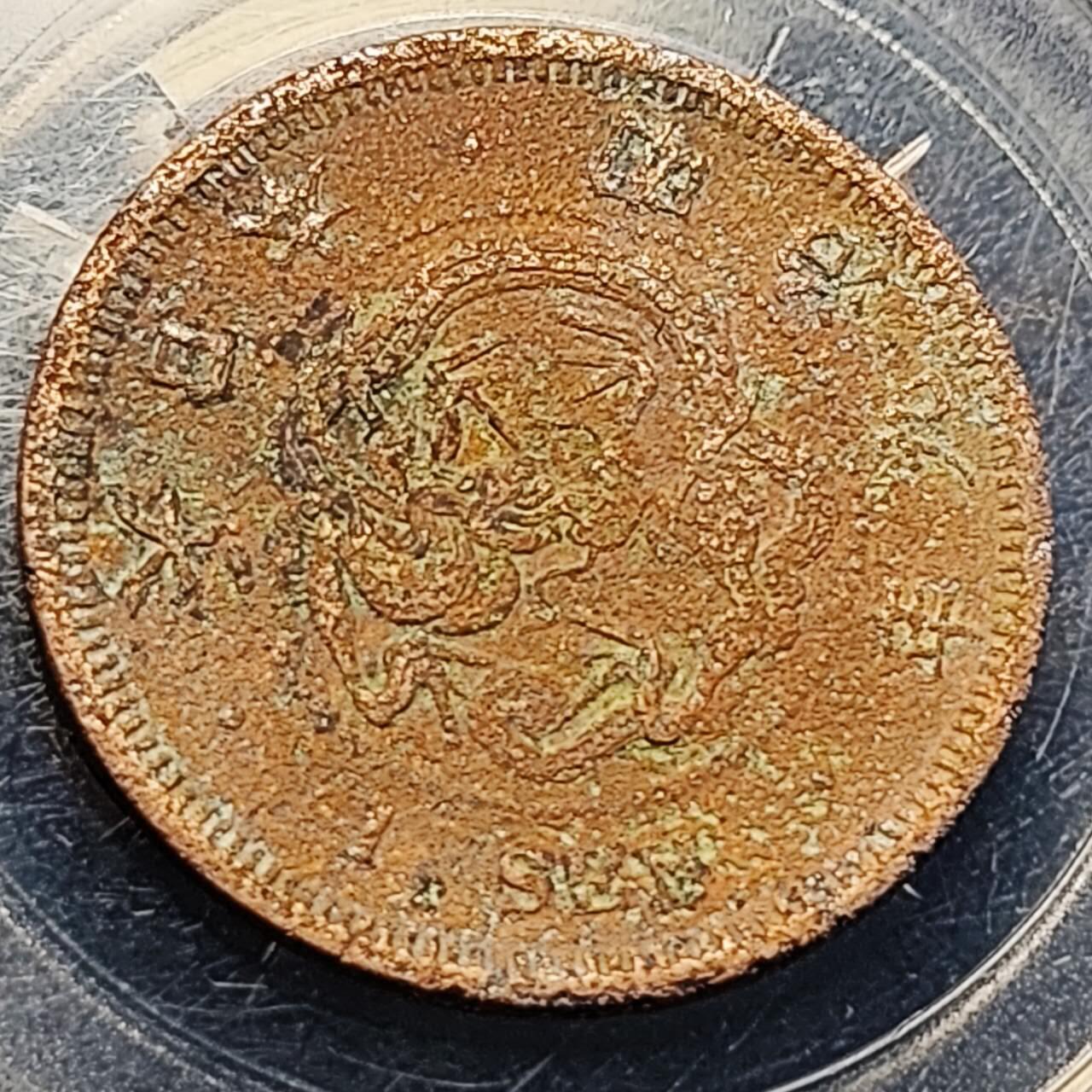 泉币菌-第204场-元宵节专场 本场拍品多 请提前出价