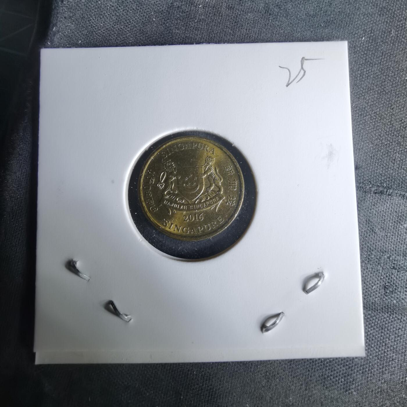 沼泽如烟--第1008场