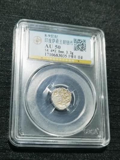 天下钱庄专场欢迎参拍 - 萨希王朝银币