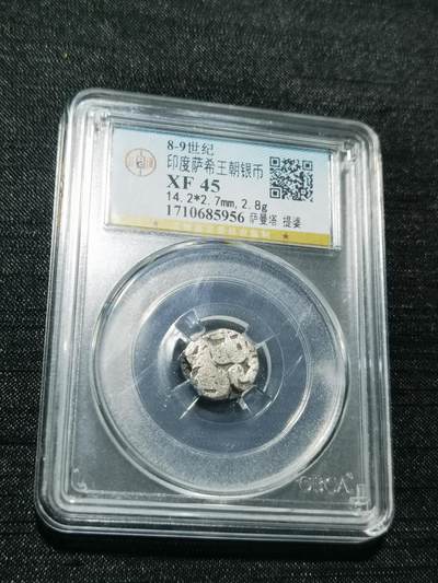 天下钱庄专场欢迎参拍 - 萨希王朝银币