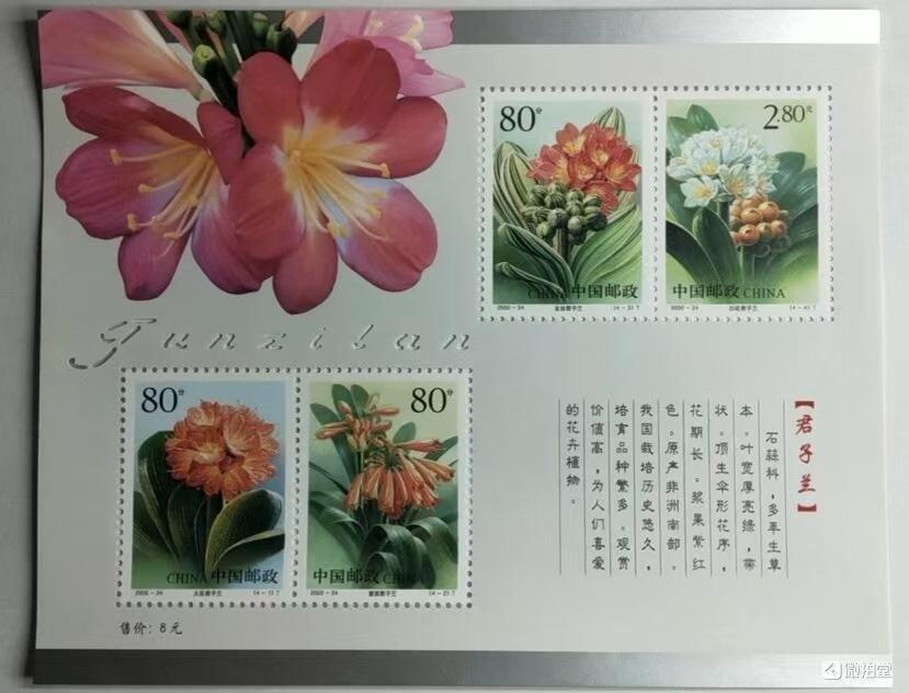 “君子兰”小型张1枚。