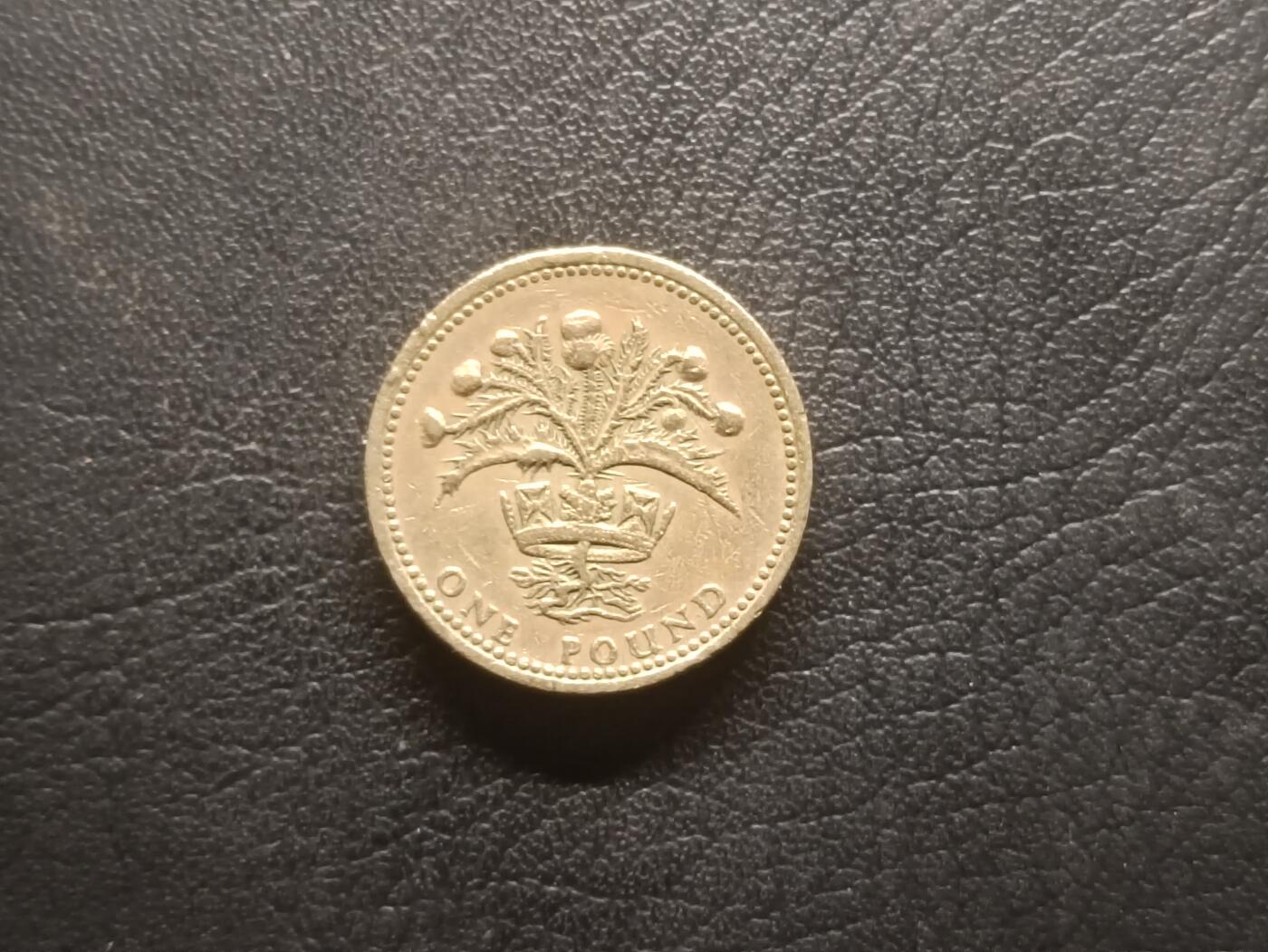 荟藏特别场次第四期——“社长的钢镚堆” 英国1984年1镑 早期厚重版