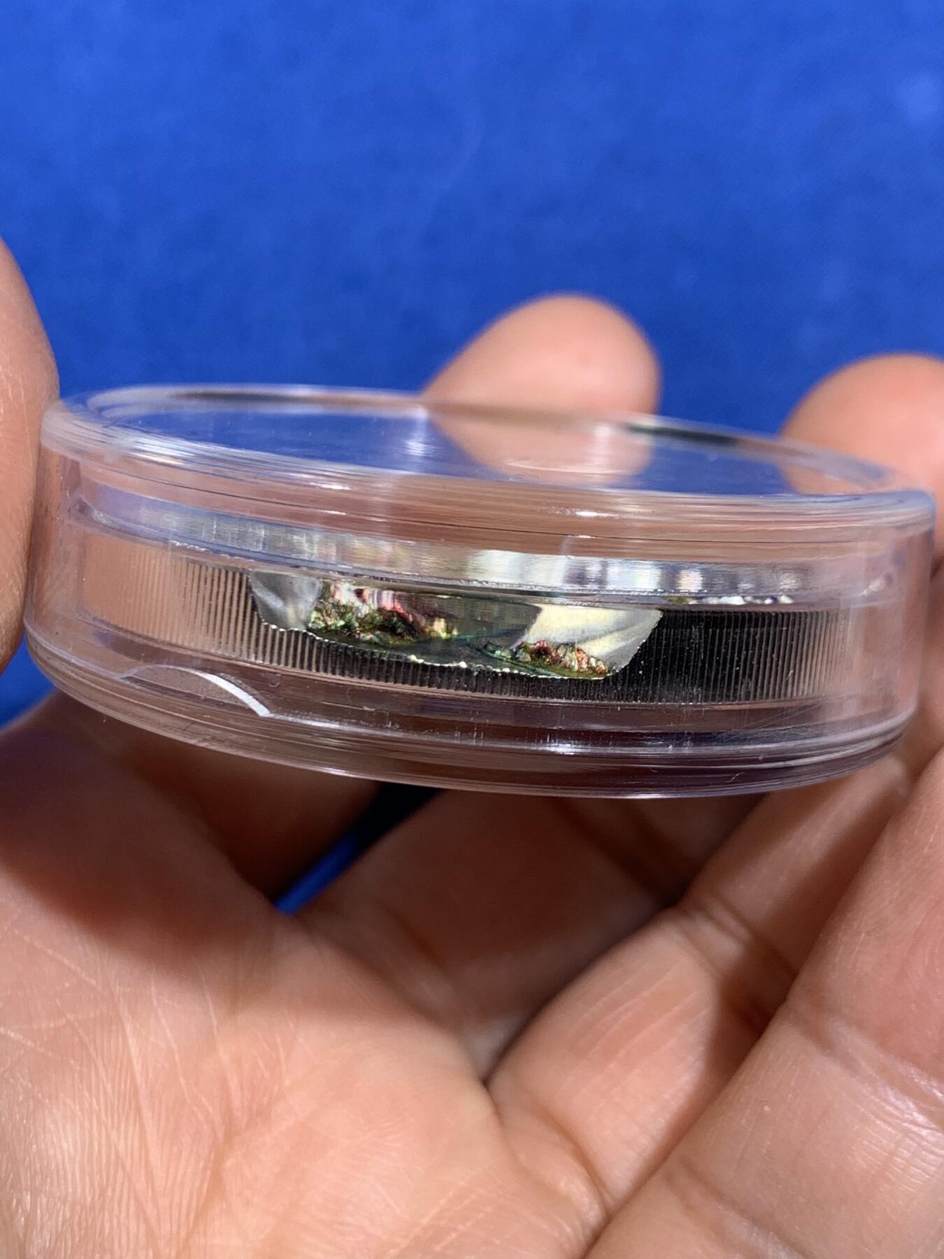 《竞宝斋》第467场 周日，周一 2场连拍 （全场包邮）欢迎送拍