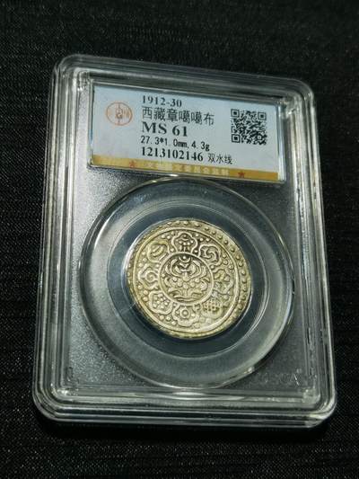 天下钱庄专场欢迎参拍 - 西藏章噶银币
