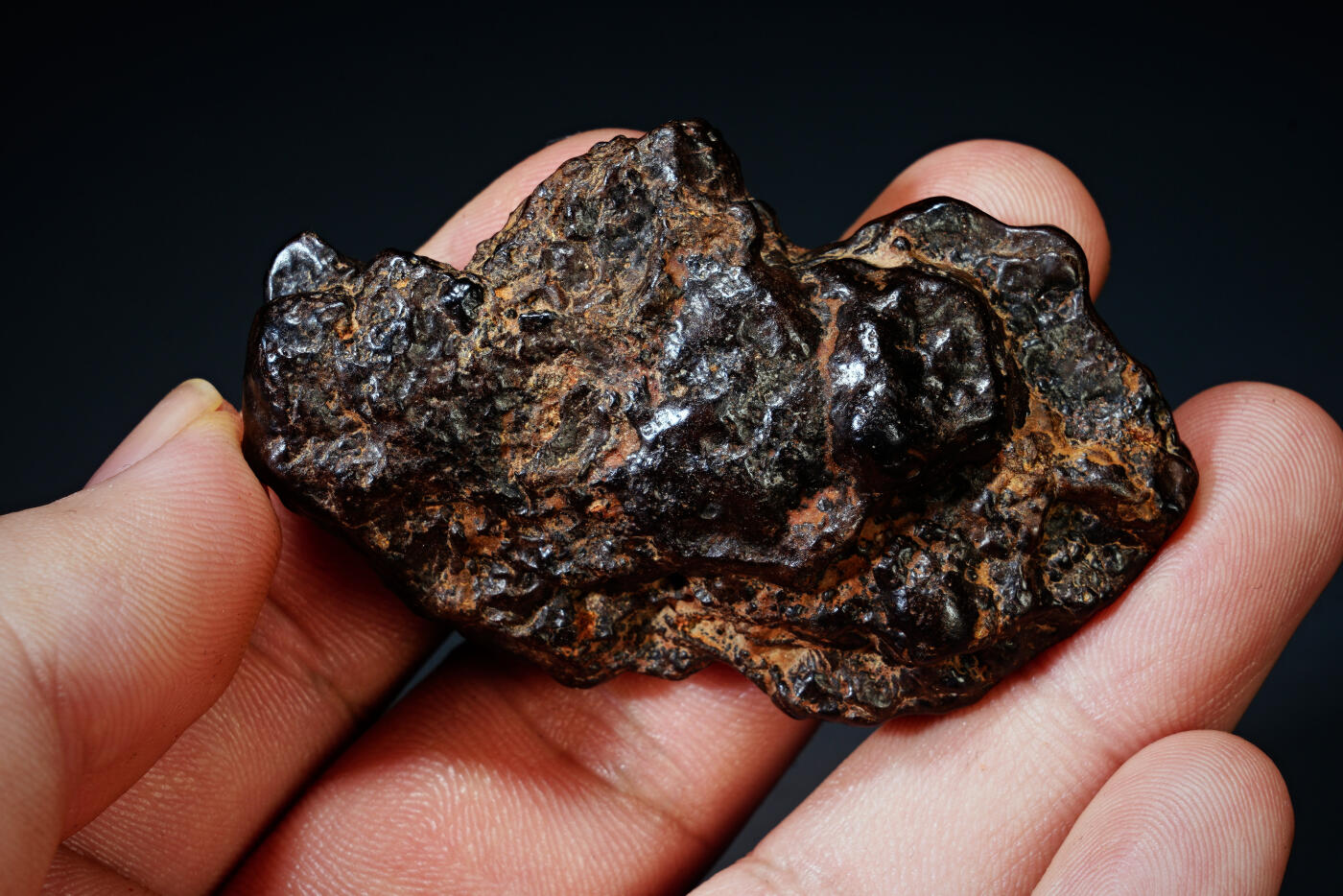 上海都达杂项专场四十四【全场包邮】  陨石连座91-92