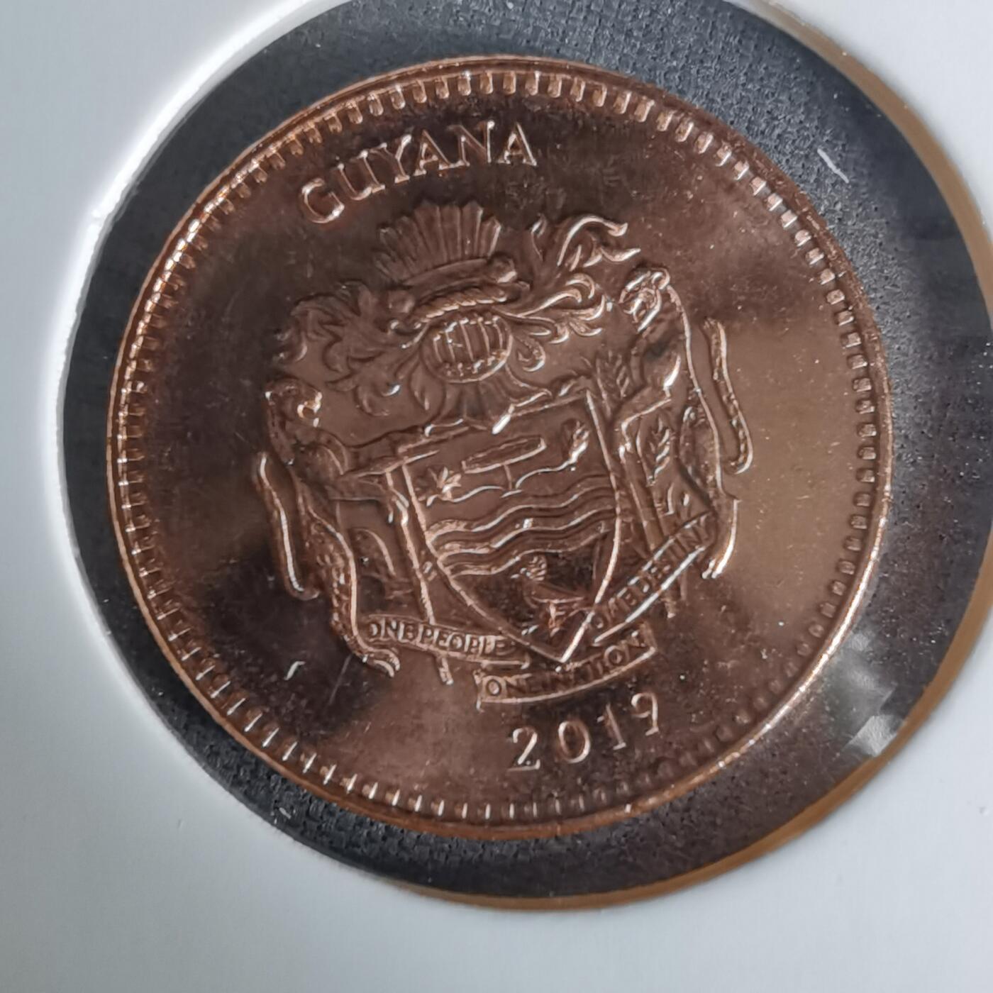 沼泽如烟--第1008场 圭亚那2019年五元