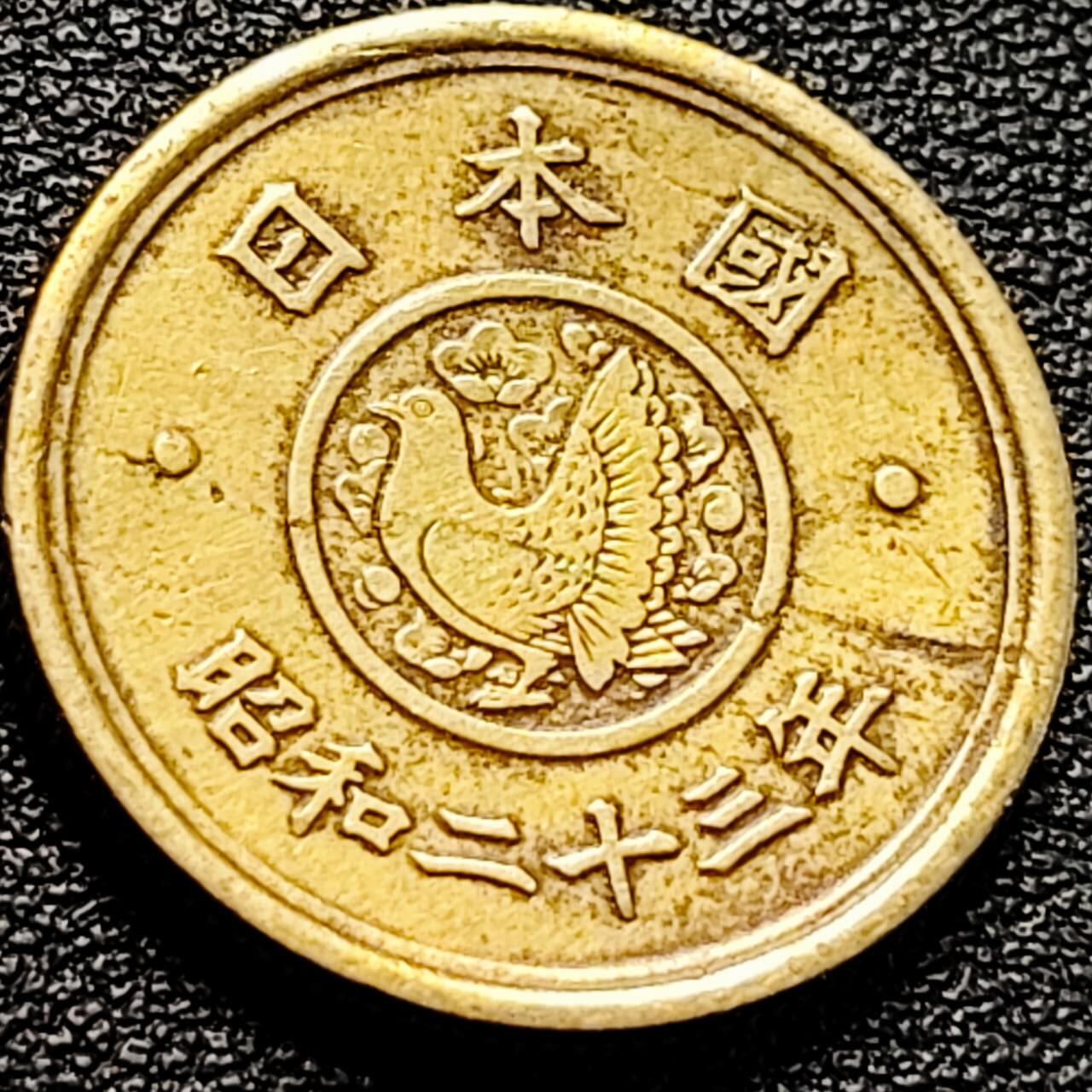 泉币菌-第204场-元宵节专场 本场拍品多 请提前出价