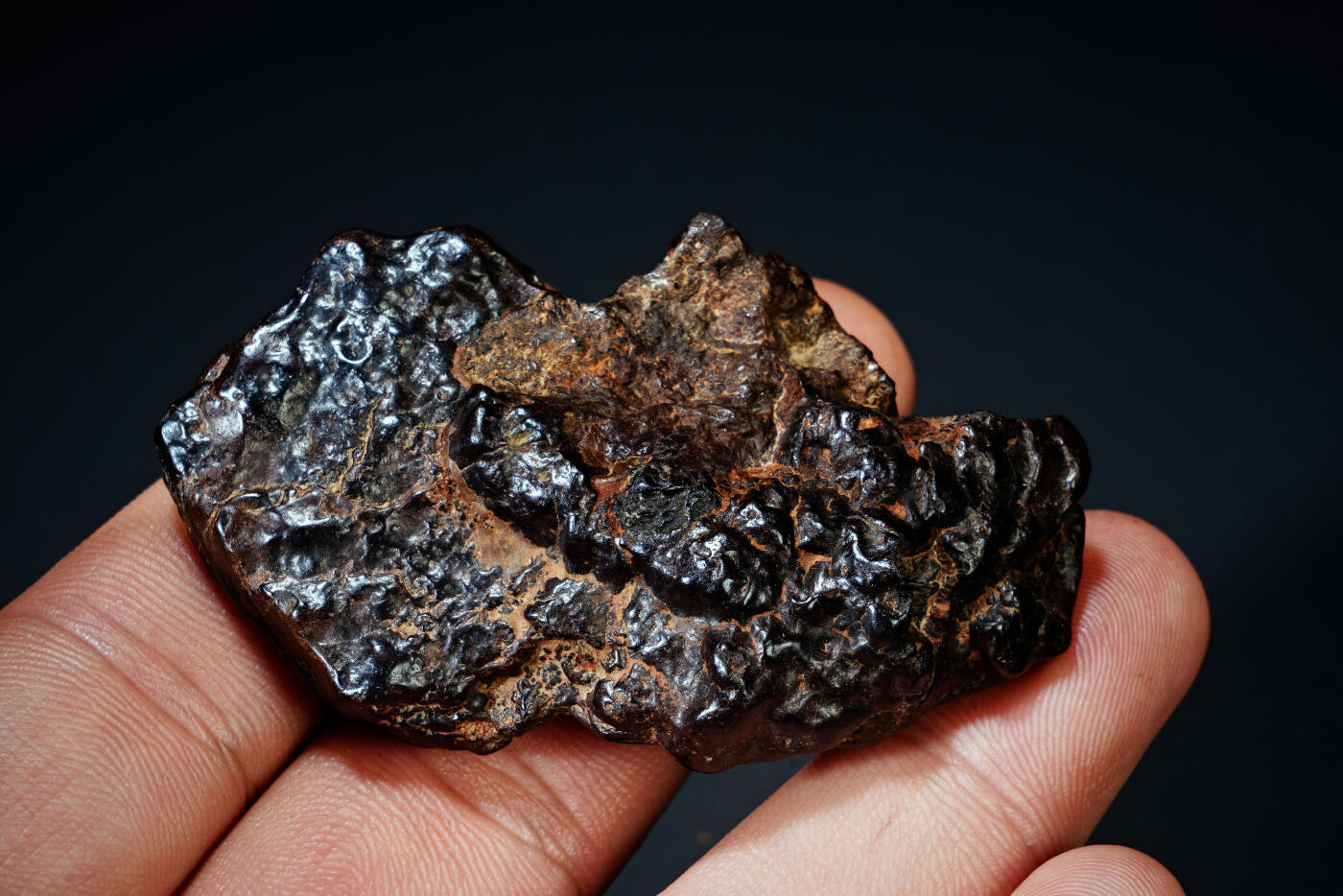 上海都达杂项专场四十四【全场包邮】  陨石连座91-92