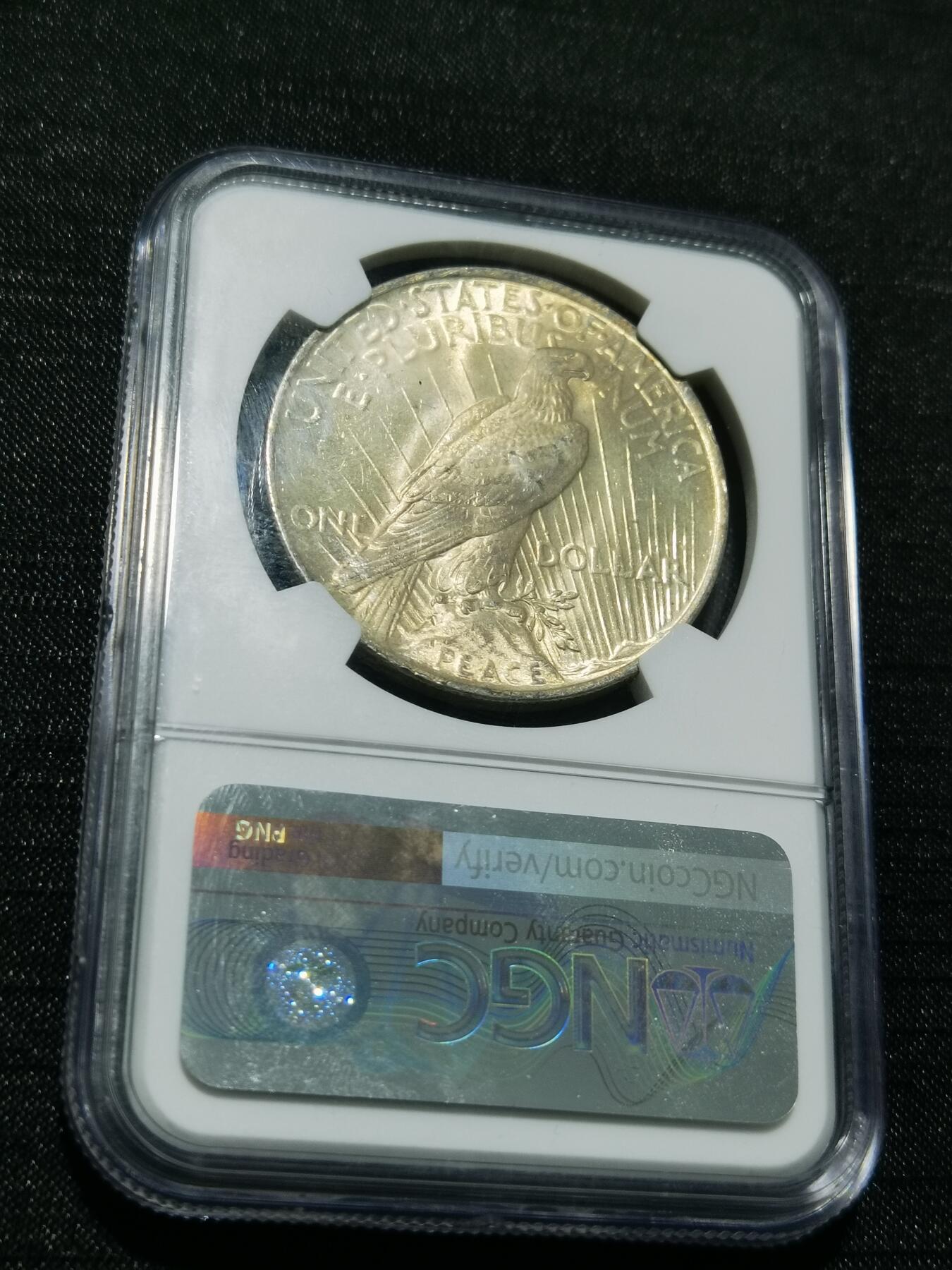 天下钱庄专场欢迎参拍 NGC MS62美国和平鸽一美元银币