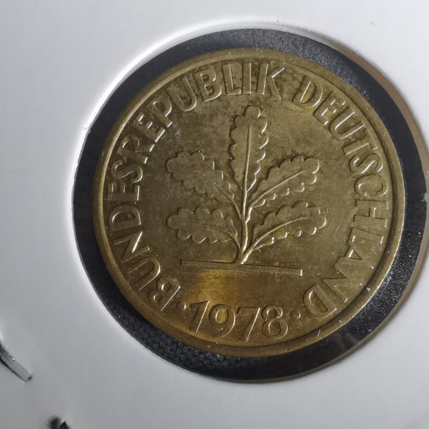 沼泽如烟--第1010场