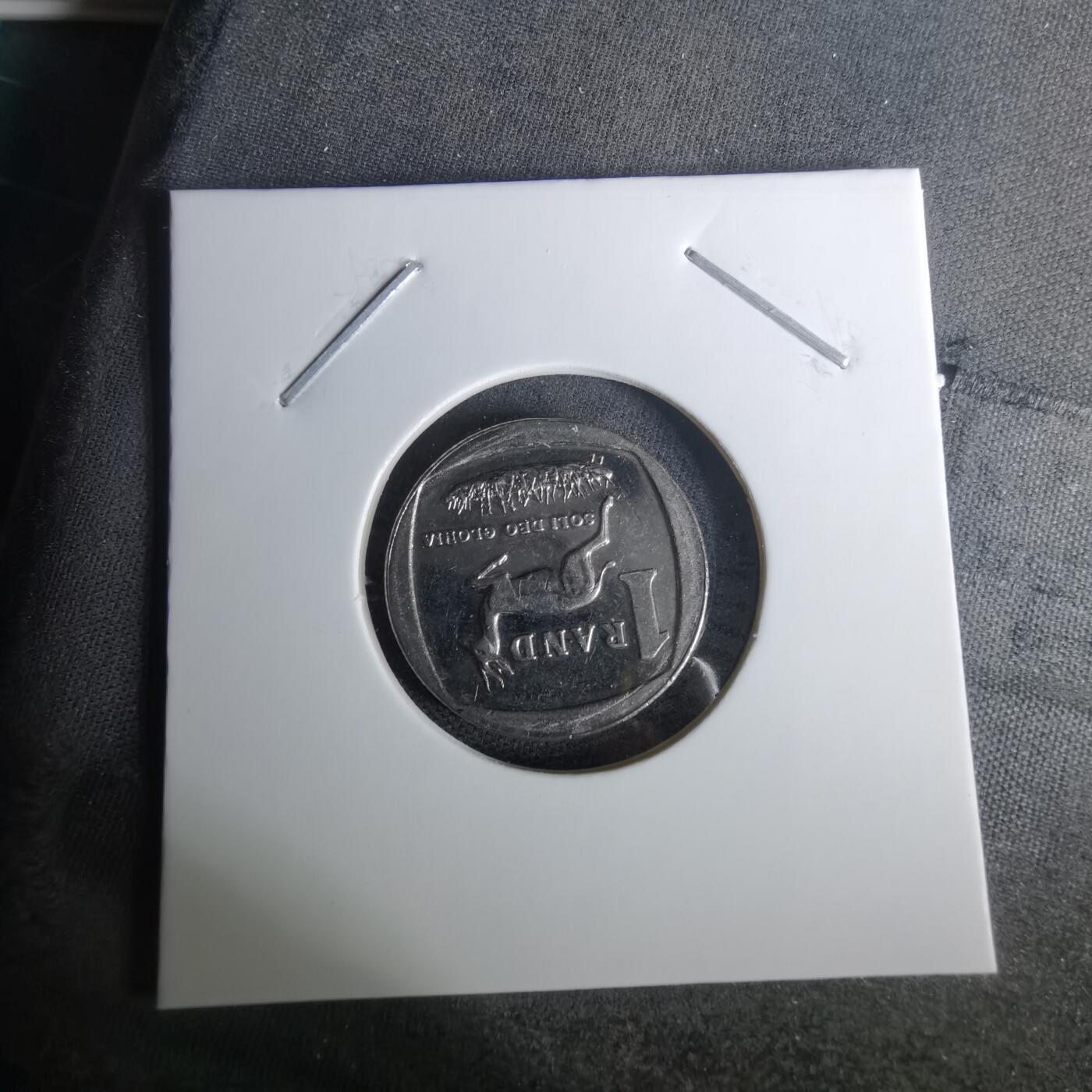 沼泽如烟--第1010场