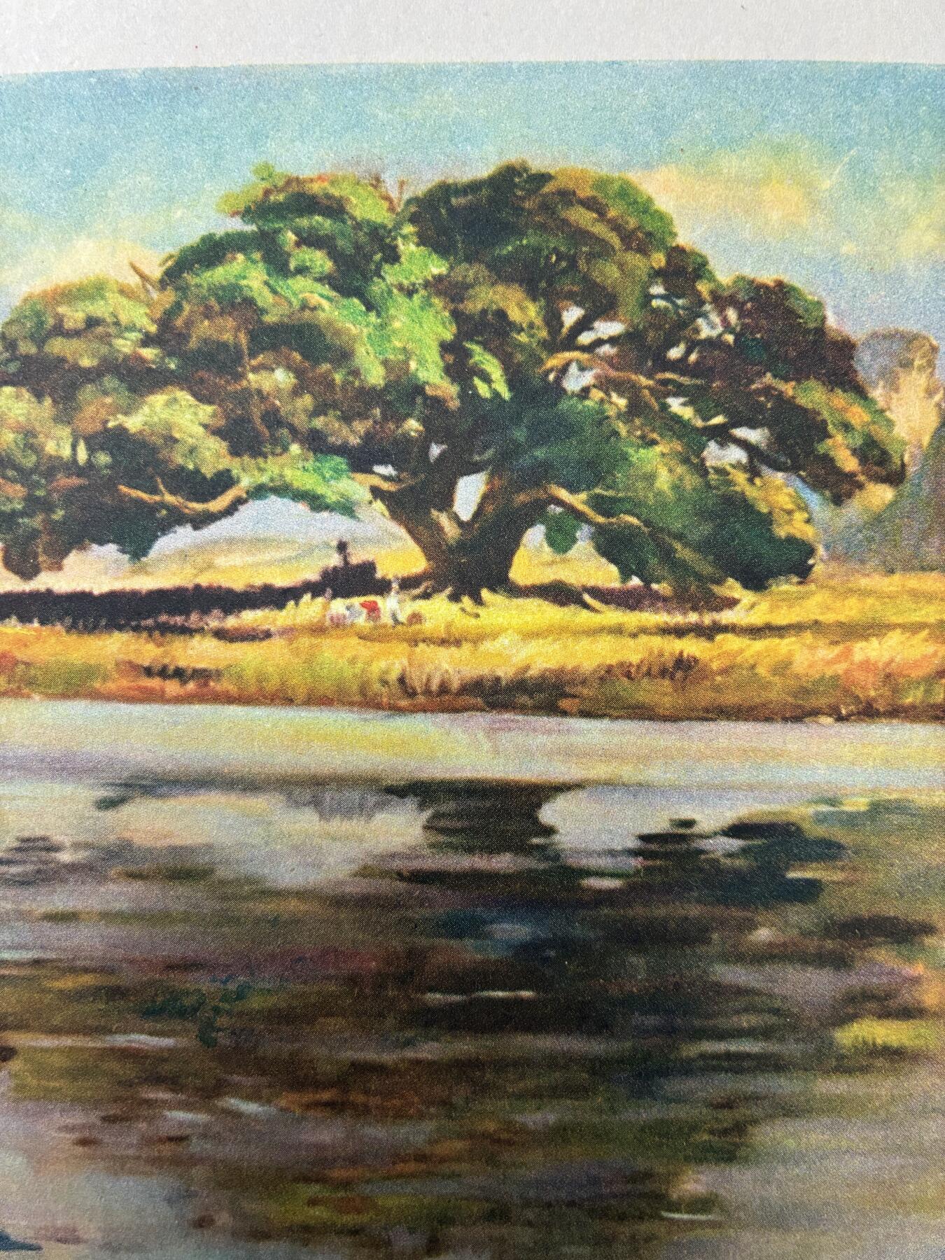 情怀旧藏儿时记忆经典收藏交流拍卖会 桂林大榕树老年画宣传画