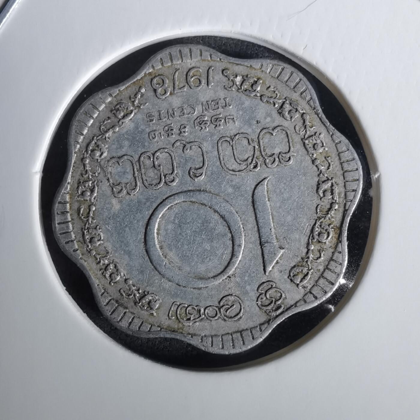 沼泽如烟--第1010场