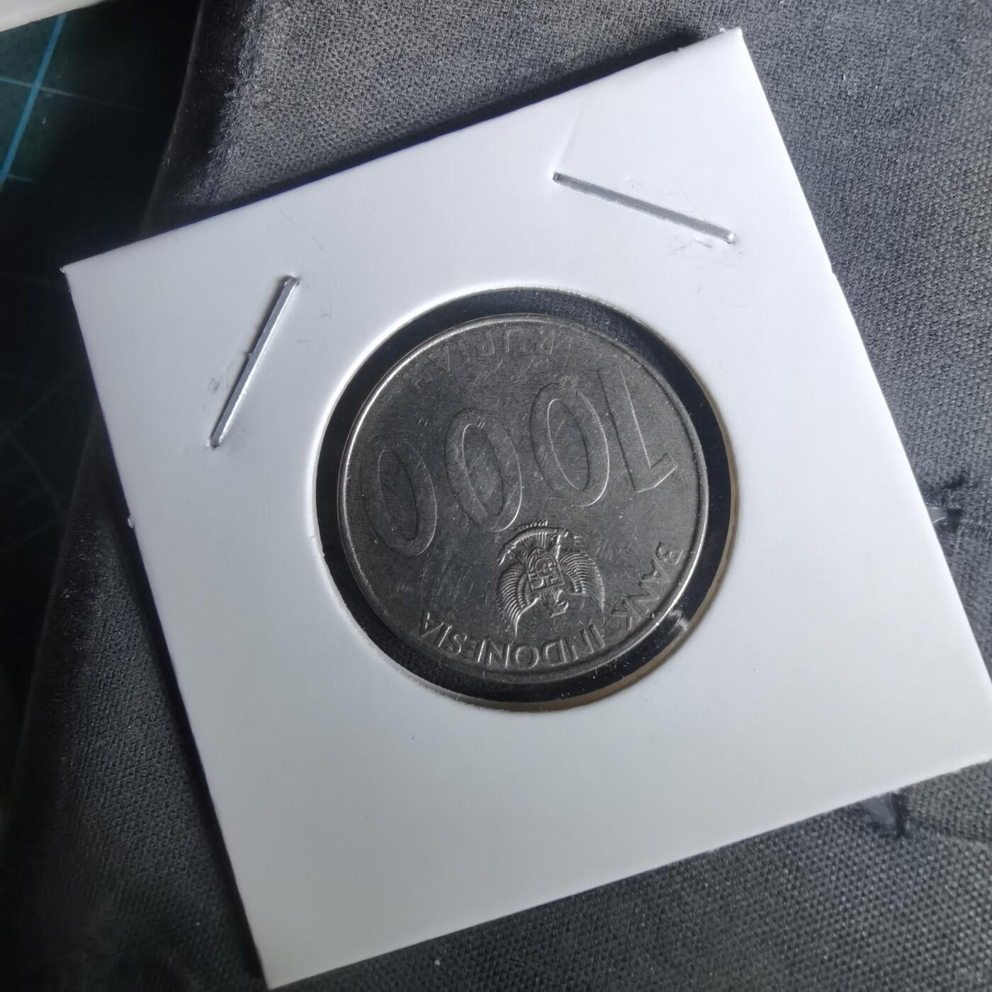 沼泽如烟--第1010场