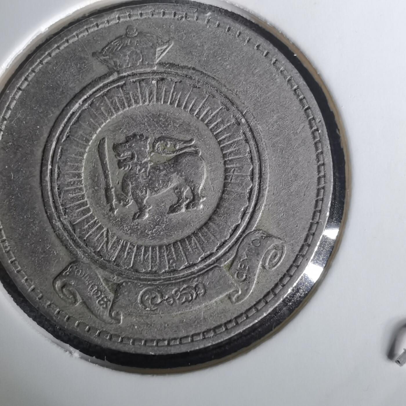 沼泽如烟--第1010场