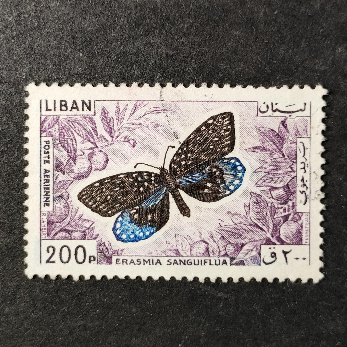 ↓君缘收藏753期☞钱币邮品↓无佣金、可寄存、满30元包邮  黎巴嫩航空邮票，1965年昆虫蝴蝶·红斑黛眼蝶邮票雕刻版