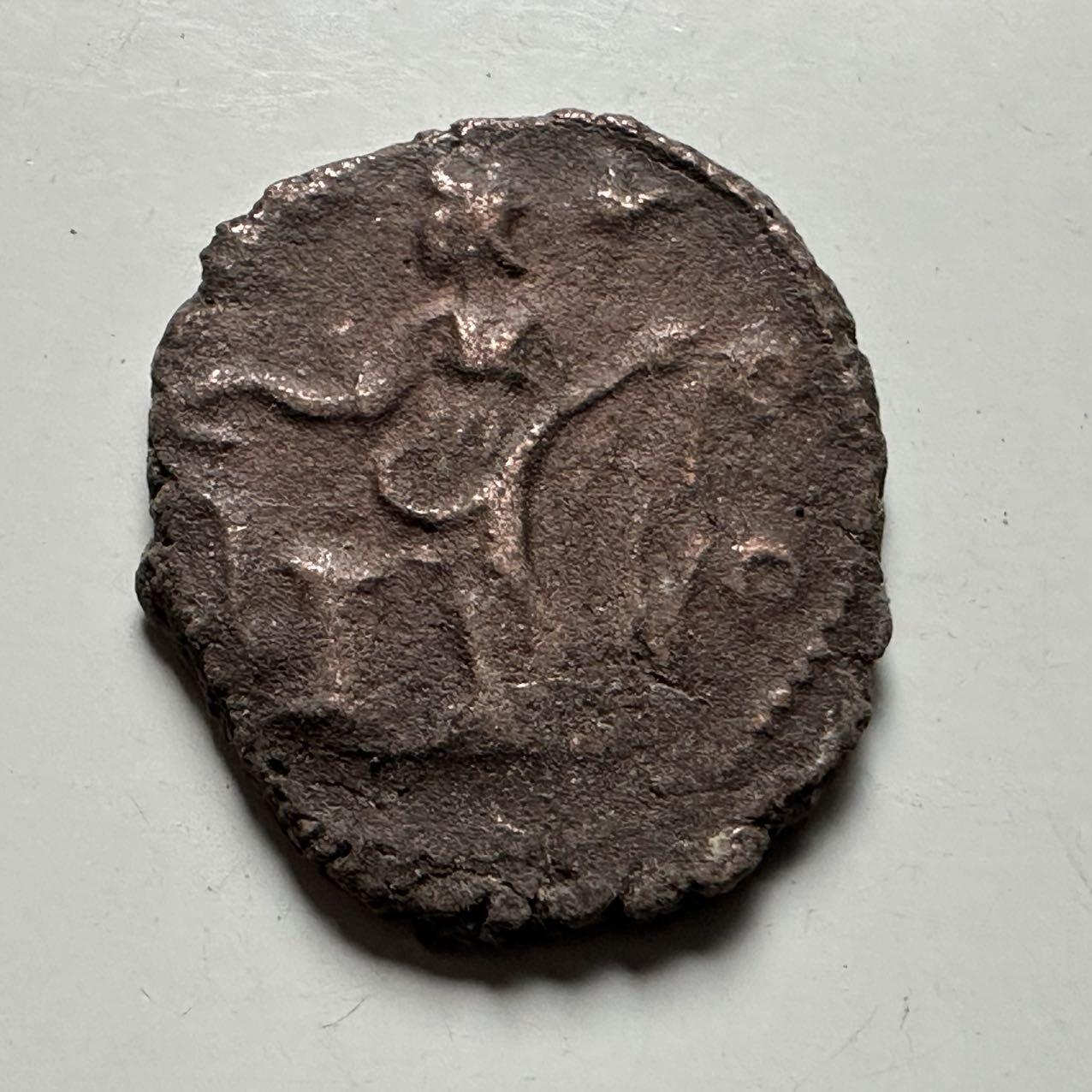 🌹外币初藏🌹🐯2026年第24场  每周二四六晚8️⃣点 接代拍