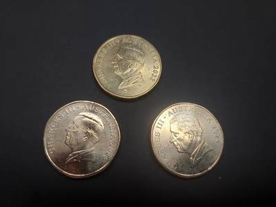 博彦收藏   3月7日 8点钱币专场 全场包邮 - 澳洲 查尔斯头像1元硬币3枚