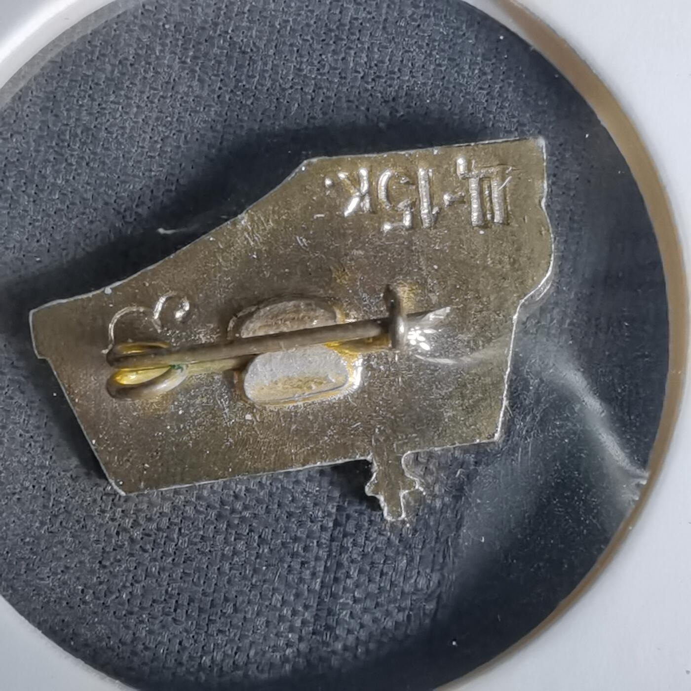 沼泽如烟--第1010场 纪念章