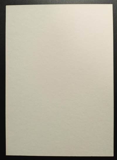 天玑星卡拍第176期《3.5周四截拍》持续收拍收评中 满赠卡需备注 【亲签复制画】沈鑫 悟空·无神之地 亲签复制画 微黄有轻微移位 直角边难免有损介意勿拍 