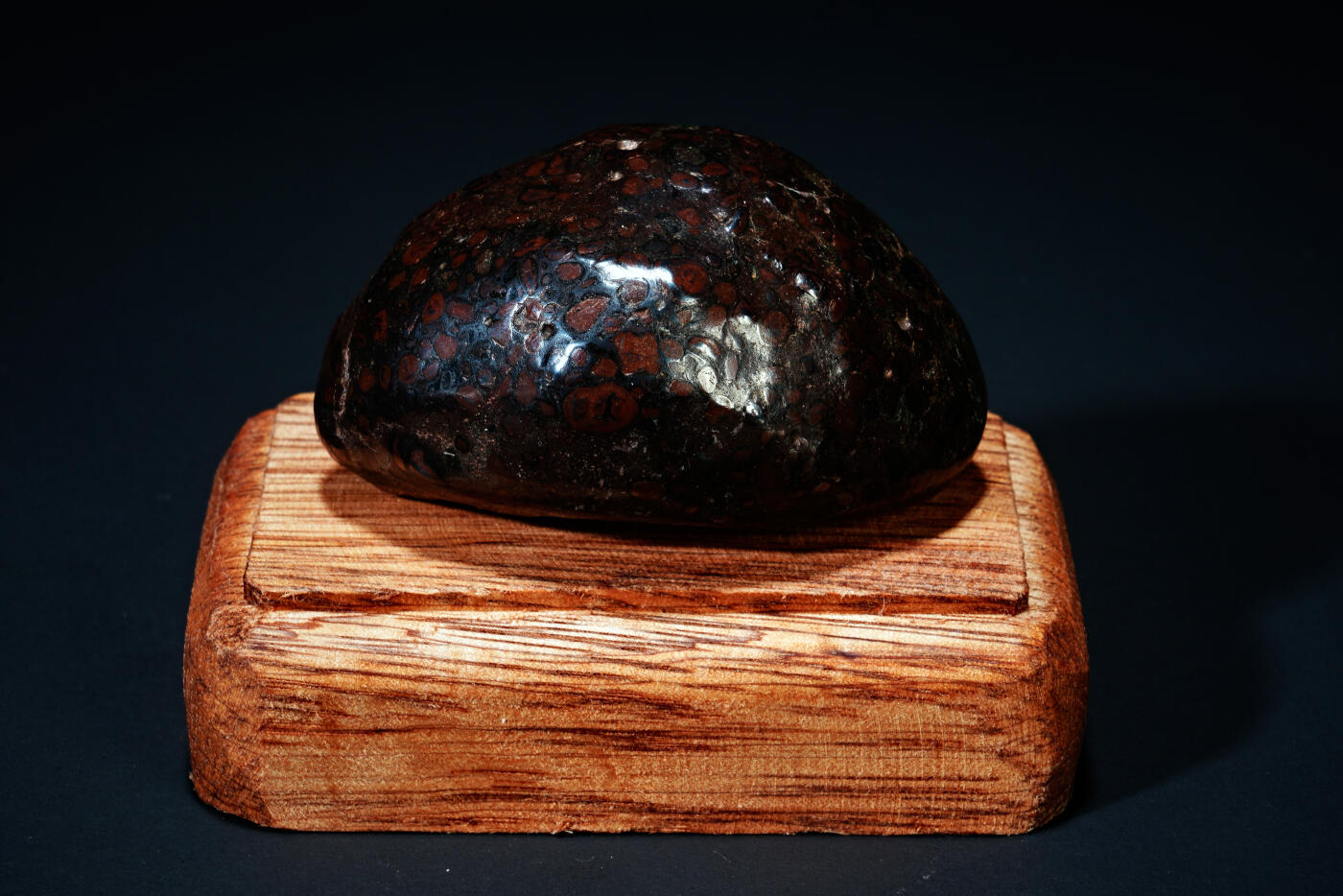 上海都达杂项专场四十四【全场包邮】  陨石 连座91-93