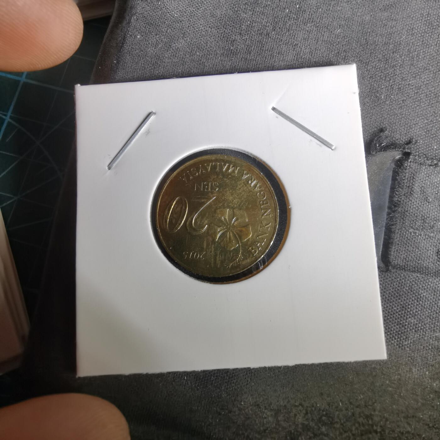 沼泽如烟--第1010场