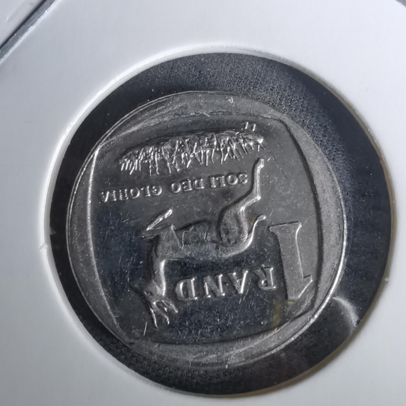 沼泽如烟--第1010场