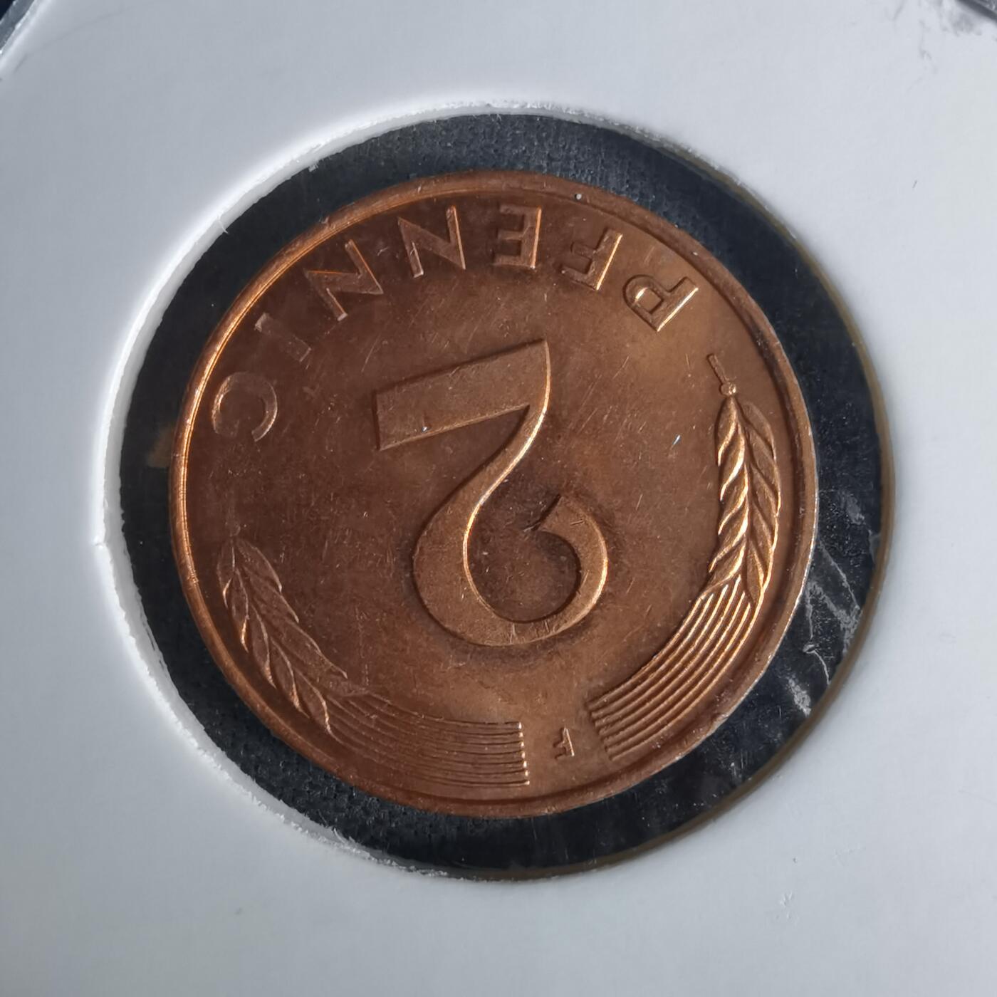 沼泽如烟--第1009场