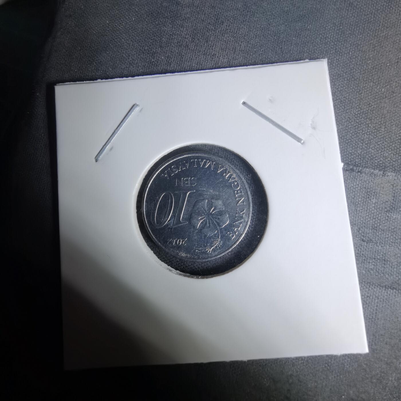 沼泽如烟--第1009场