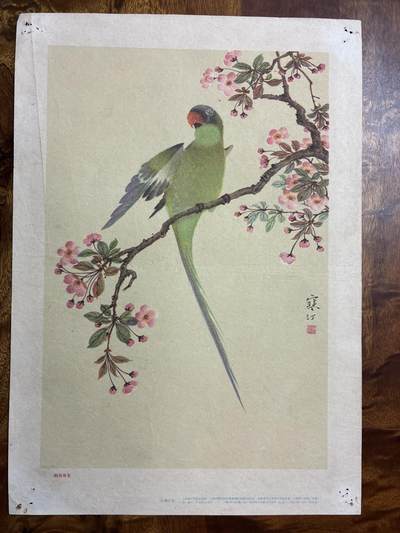 情怀旧藏儿时记忆经典收藏交流拍卖会 - 江寒汀绘画鹦哥海棠老年画宣传画