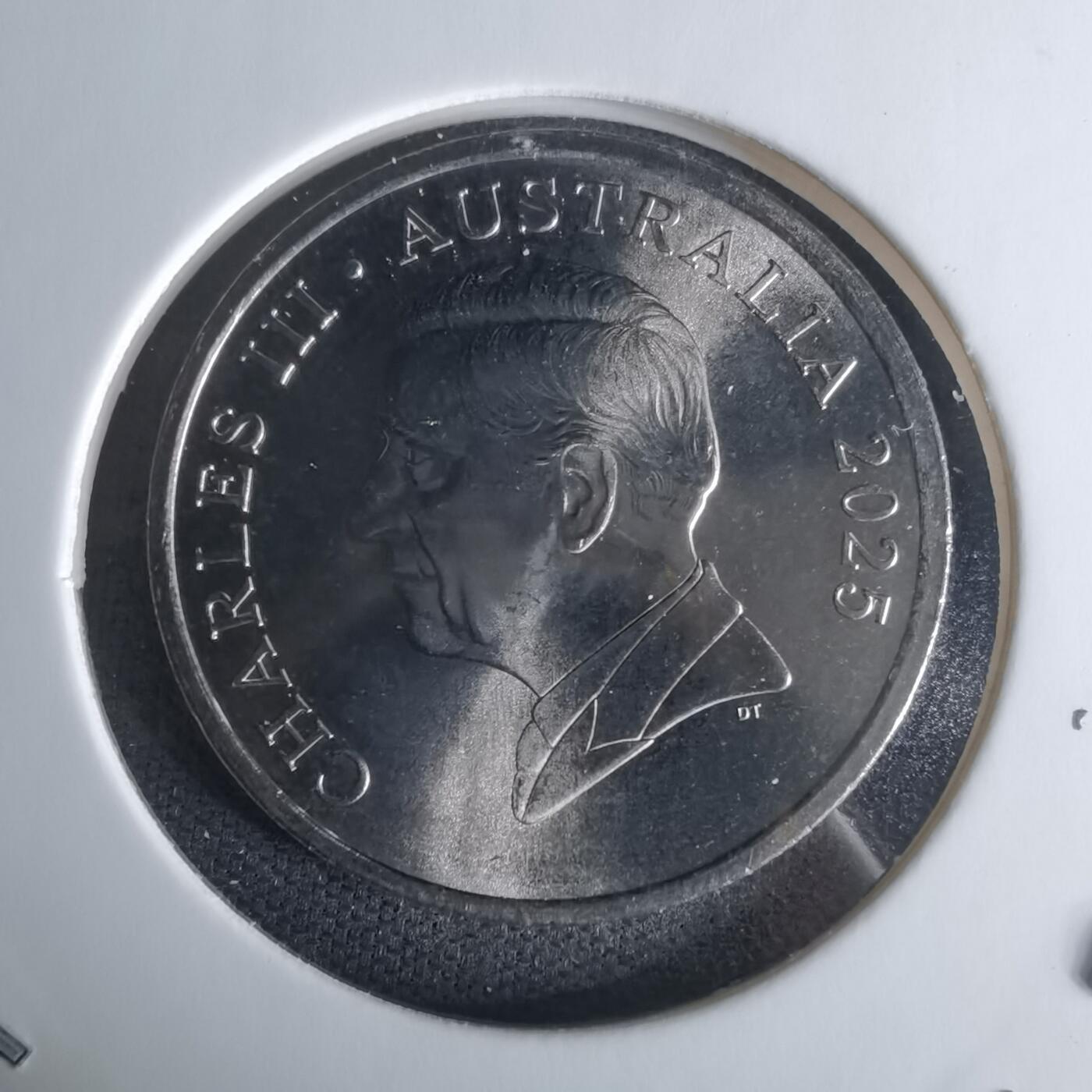 沼泽如烟--第1009场