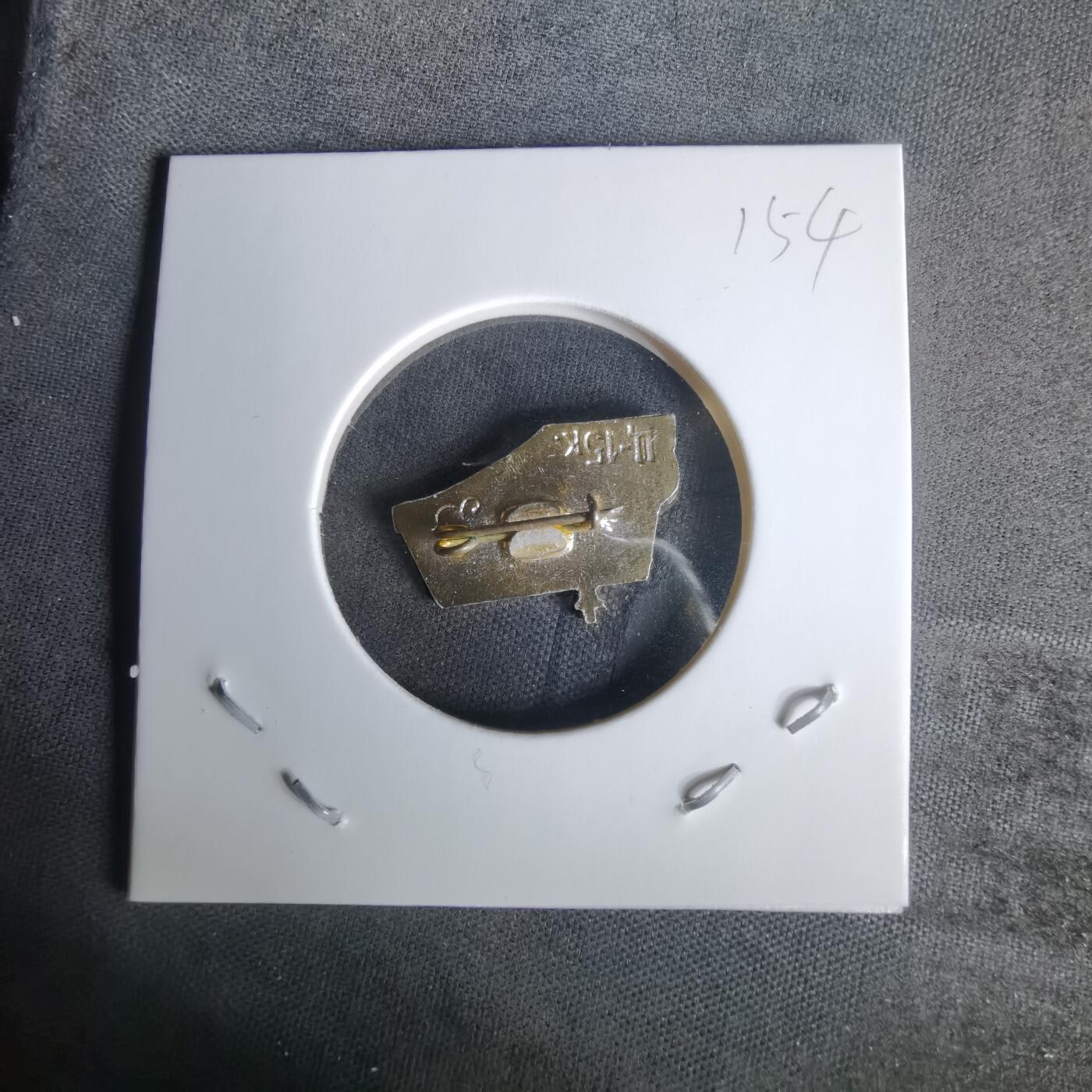 沼泽如烟--第1010场 纪念章