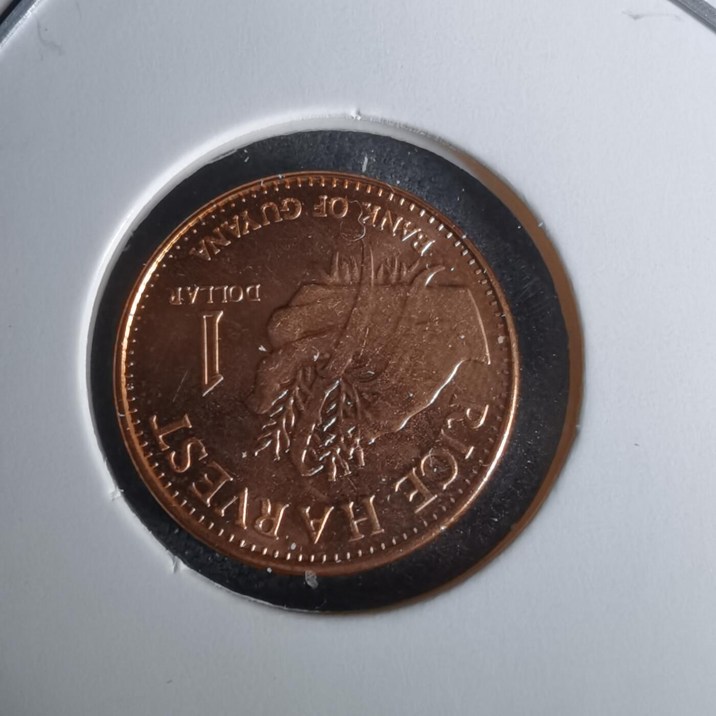 沼泽如烟--第1010场 圭亚那2015年一元